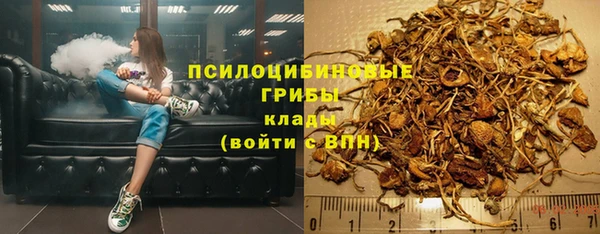 эйфоретик Липки