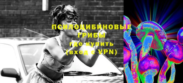 эйфоретик Липки