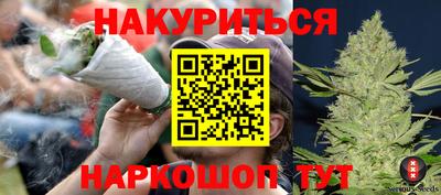 сатива Аргун