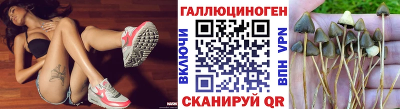MEGA ONION  продажа наркотиков  Кызыл  Галлюциногенные грибы прущие грибы 