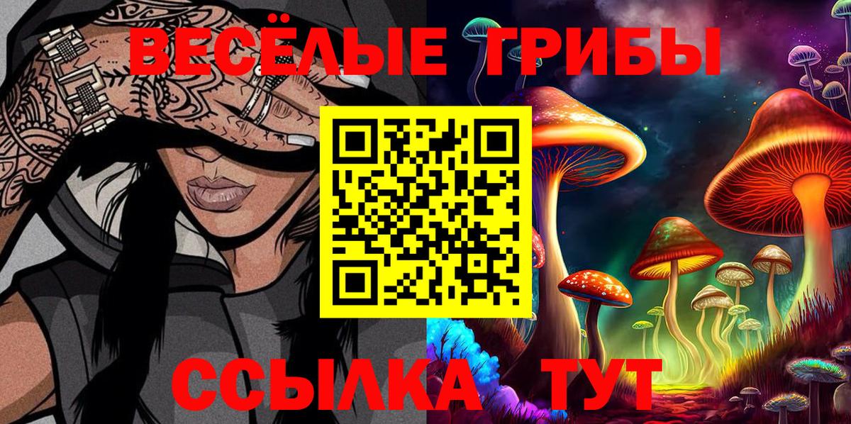 где можно купить наркотик  Вход с VPN  Кызыл  Псилоцибиновые грибы MAGIC MUSHROOMS  Галлюциногенные грибы ЛСД 