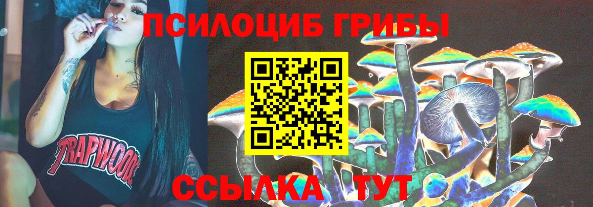 Галлюциногенные грибы MAGIC MUSHROOMS  Кызыл  Галлюциногенные грибы Psilocybine cubensis 