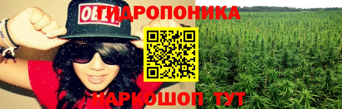 Шишки марихуана ГИДРОПОН Кызыл